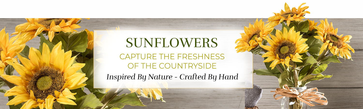 Sunflowers