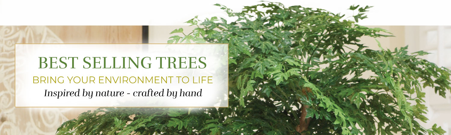 Best Selling Trees