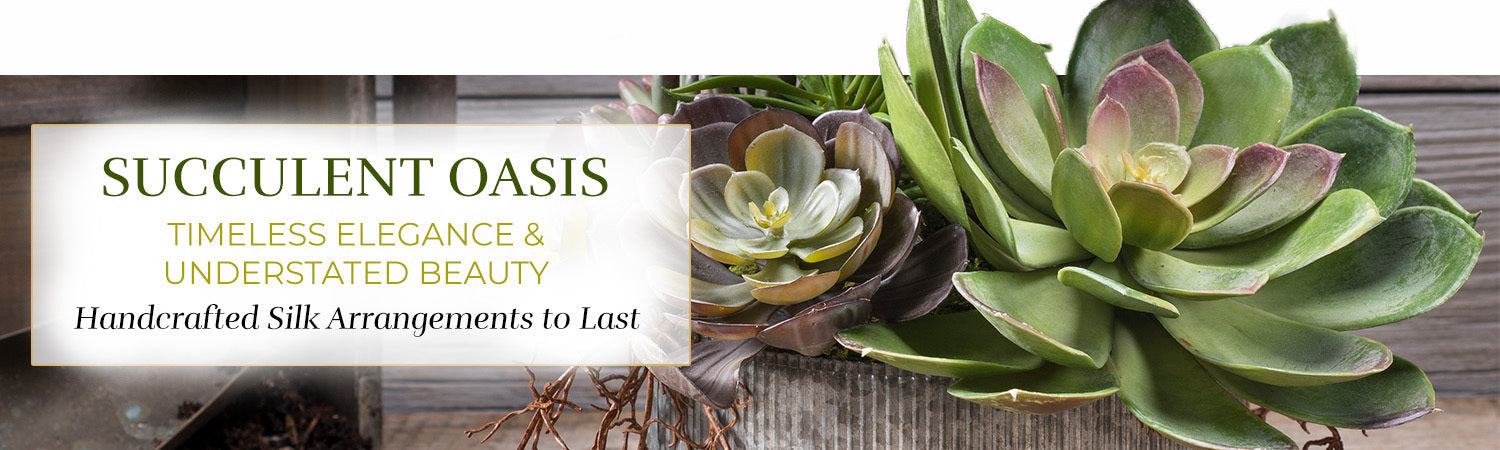 Succulent Oasis