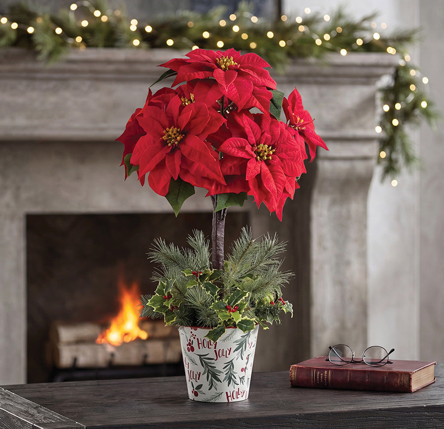 Christmas Trees