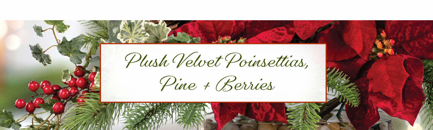 Plush Velvet Poinsettia, Pine & Berries