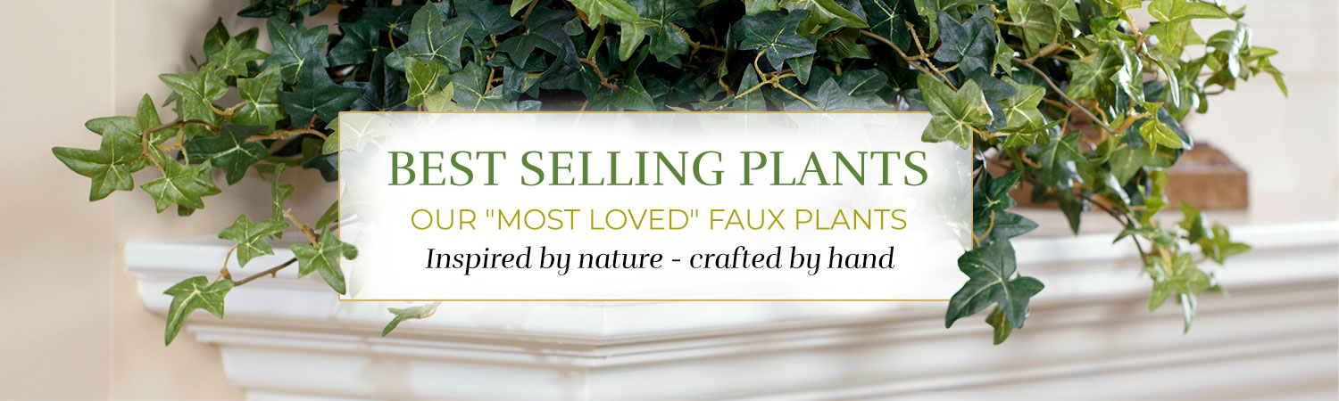 Best Selling Plants