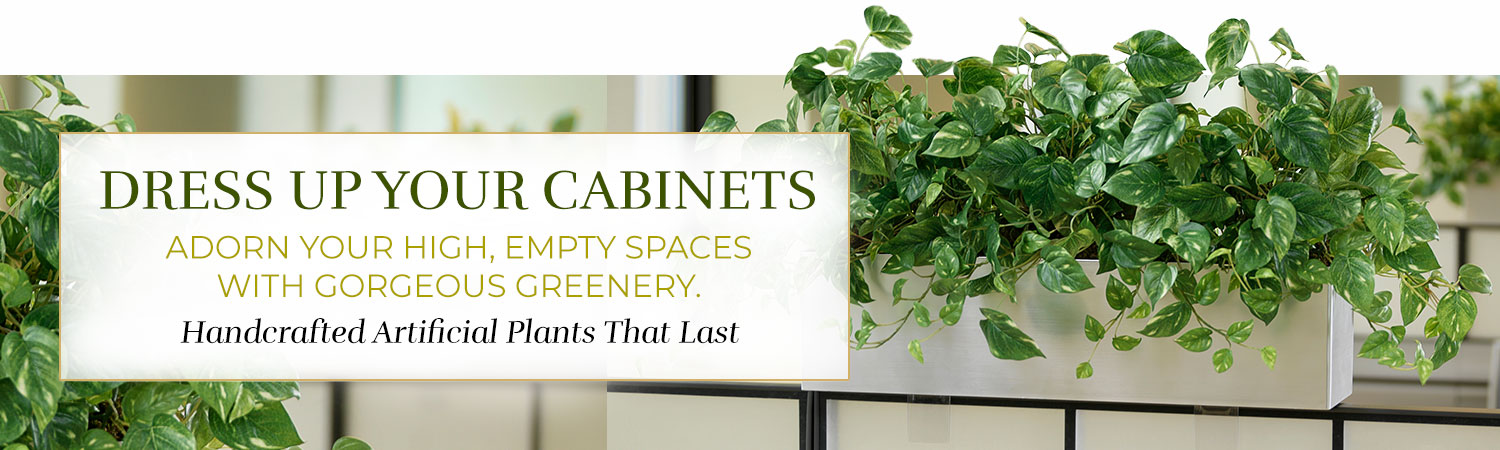 Cabinet Top Plants