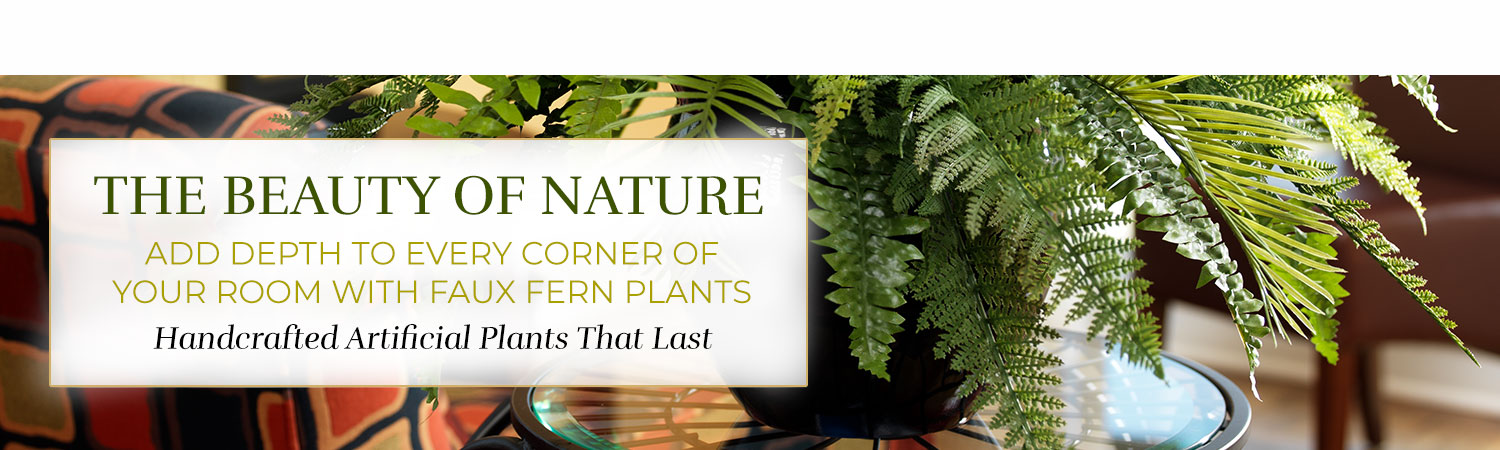Fern & Grass Plants