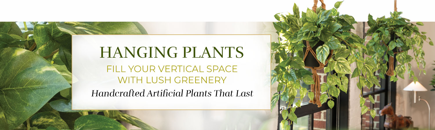 Hanging Plants