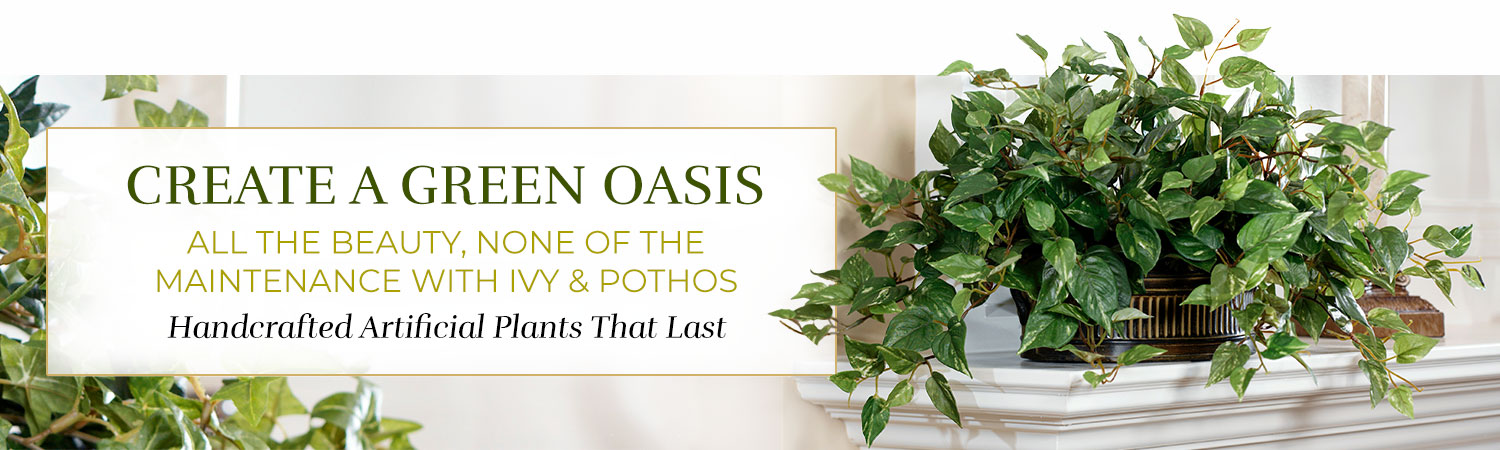 Ivy & Pothos Plants