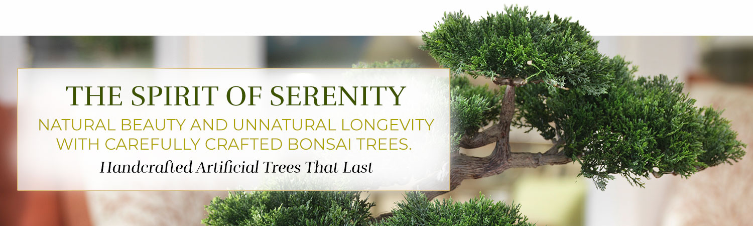 Bonsai Trees