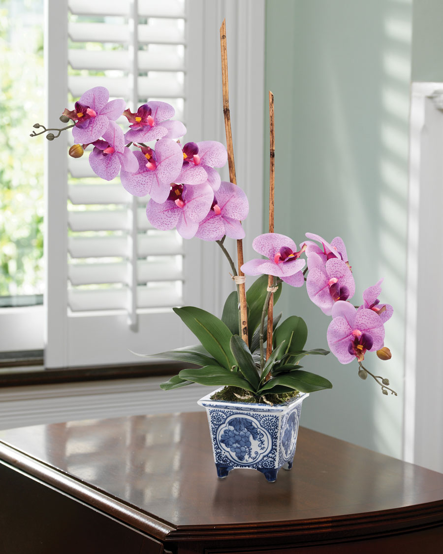 Faux Phalaenopsis Orchid Plant