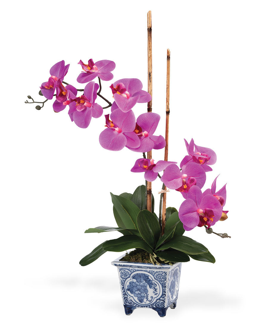 Faux Phalaenopsis Orchid Plant FLA197
