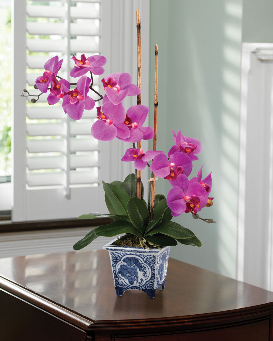 Faux Phalaenopsis Orchid Plant