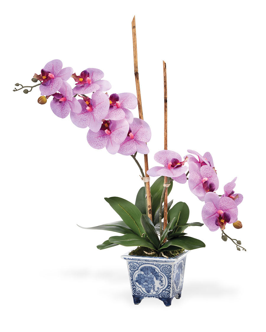 Faux Phalaenopsis Orchid Plant FLA197