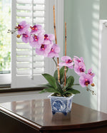 Faux Phalaenopsis Orchid Plant FLA197