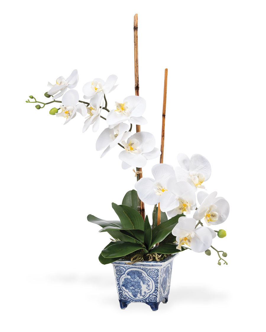 Faux Phalaenopsis Orchid Plant FLA197