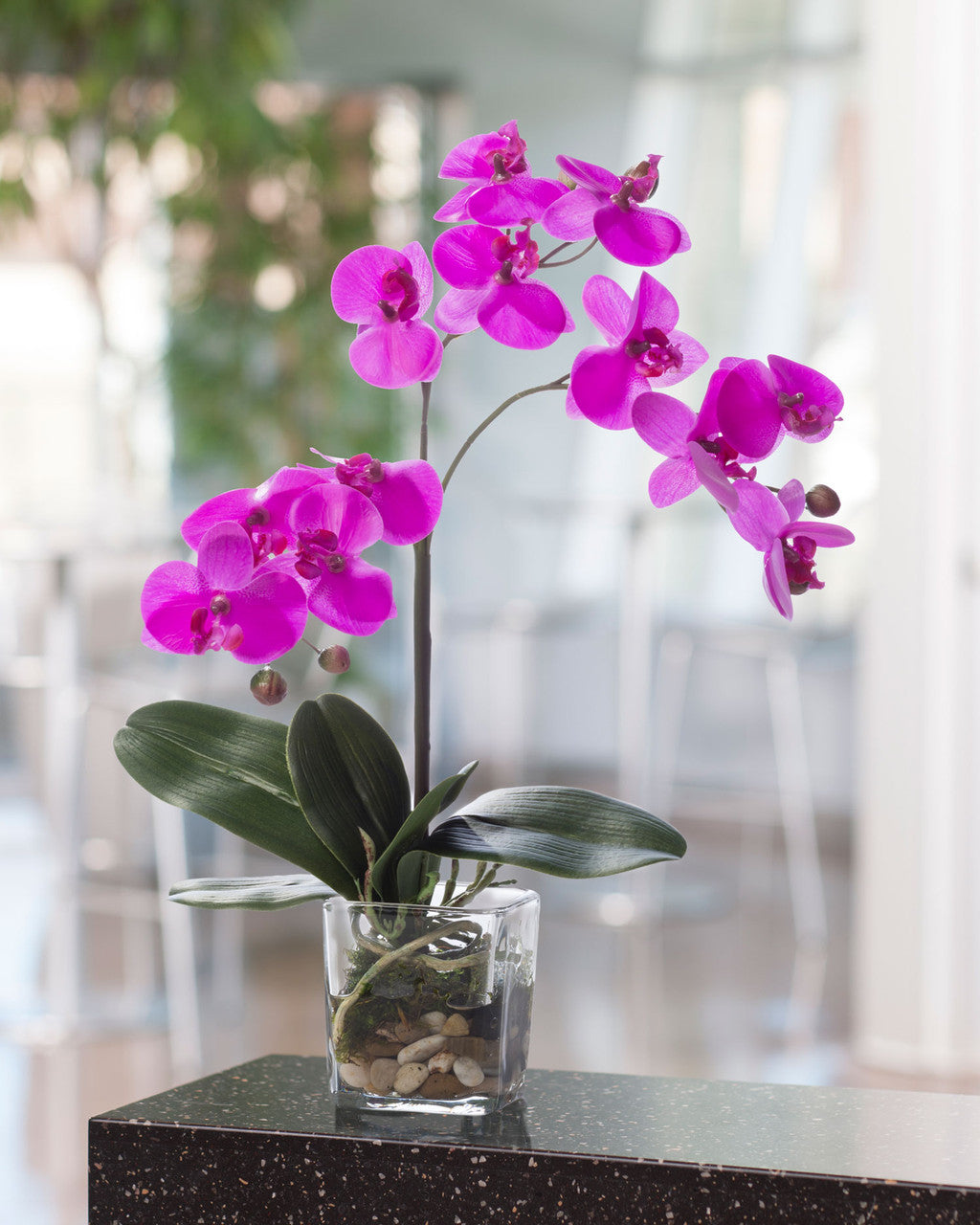 Faux Phalaenopsis Orchid Accent FLA803