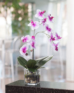 Faux Phalaenopsis Orchid Accent FLA803