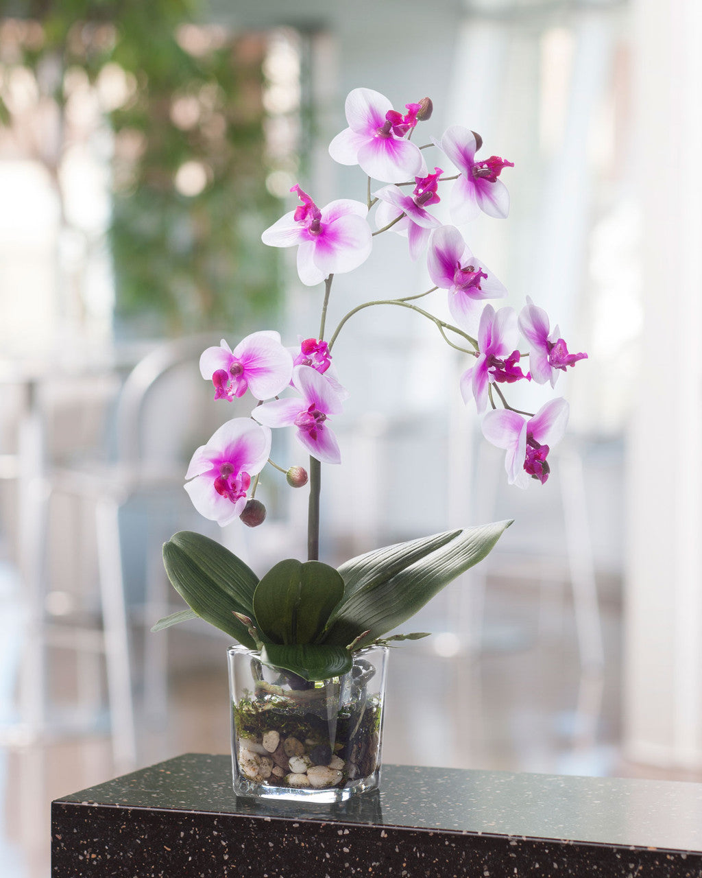 Faux Phalaenopsis Orchid Accent FLA803