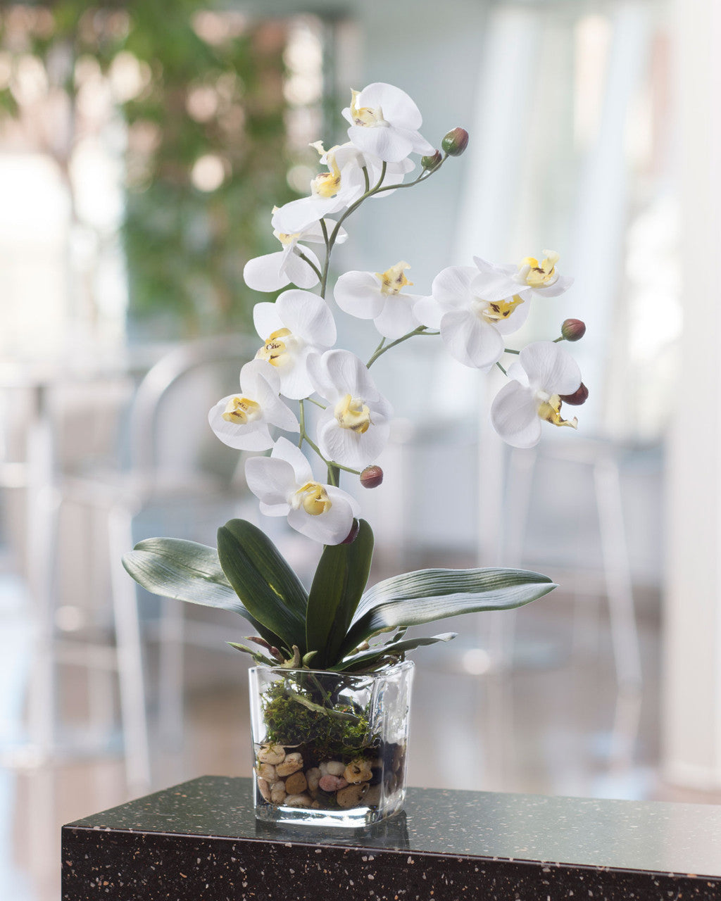 Faux Phalaenopsis Orchid Accent FLA803