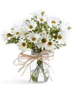 Farmhouse Daisies Silk Flower Arrangement FLA849