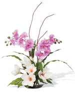Magnolias & Orchids FLB170-CH