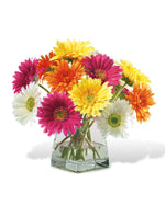 Gerbera Daisy Silk Centerpiece FLB463-MP