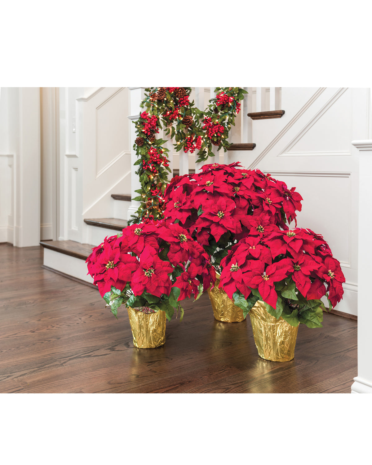 Premier Silk Poinsettia - Large and Extra Large Group Shot.