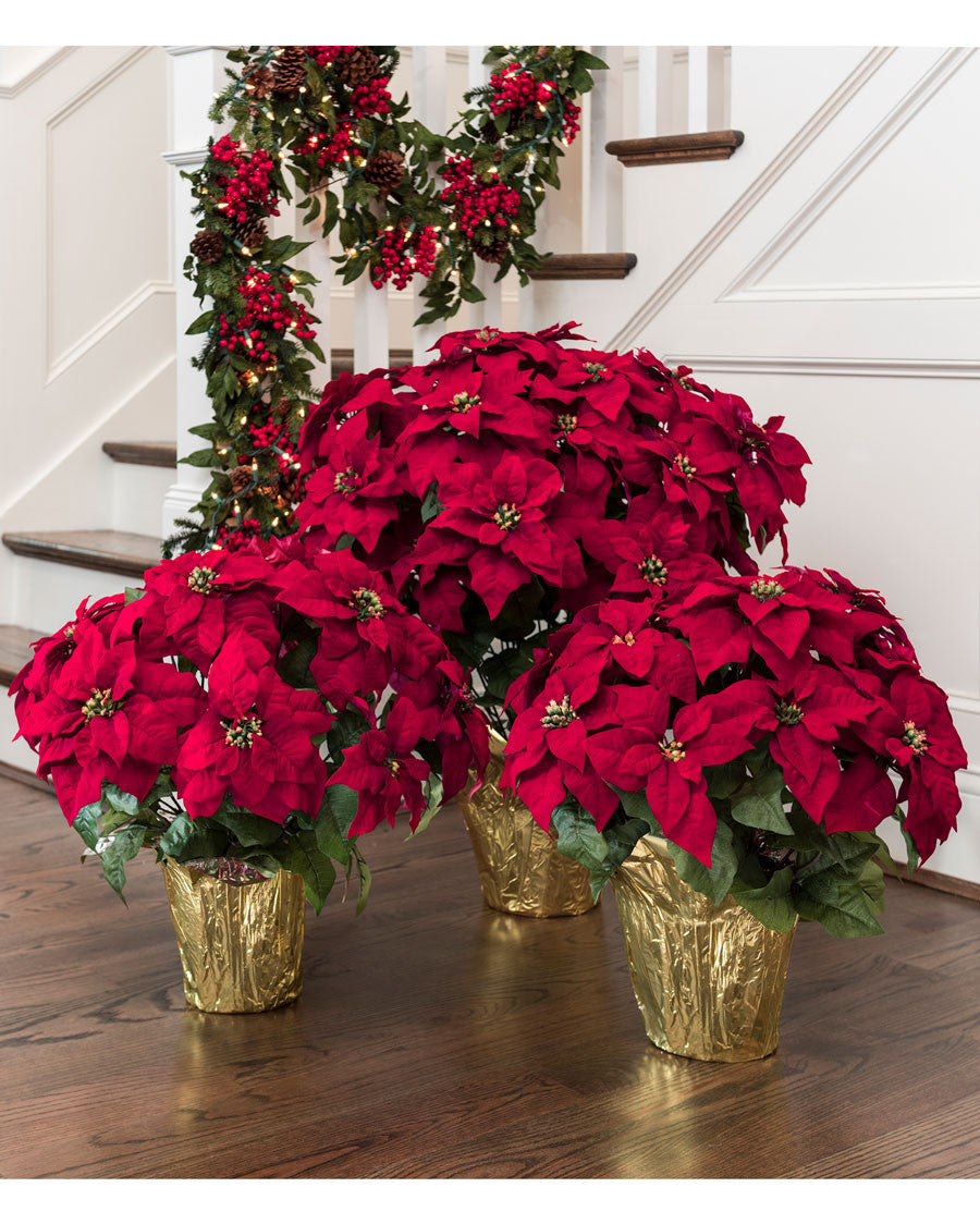 Premier Silk Poinsettia - Large HDB200