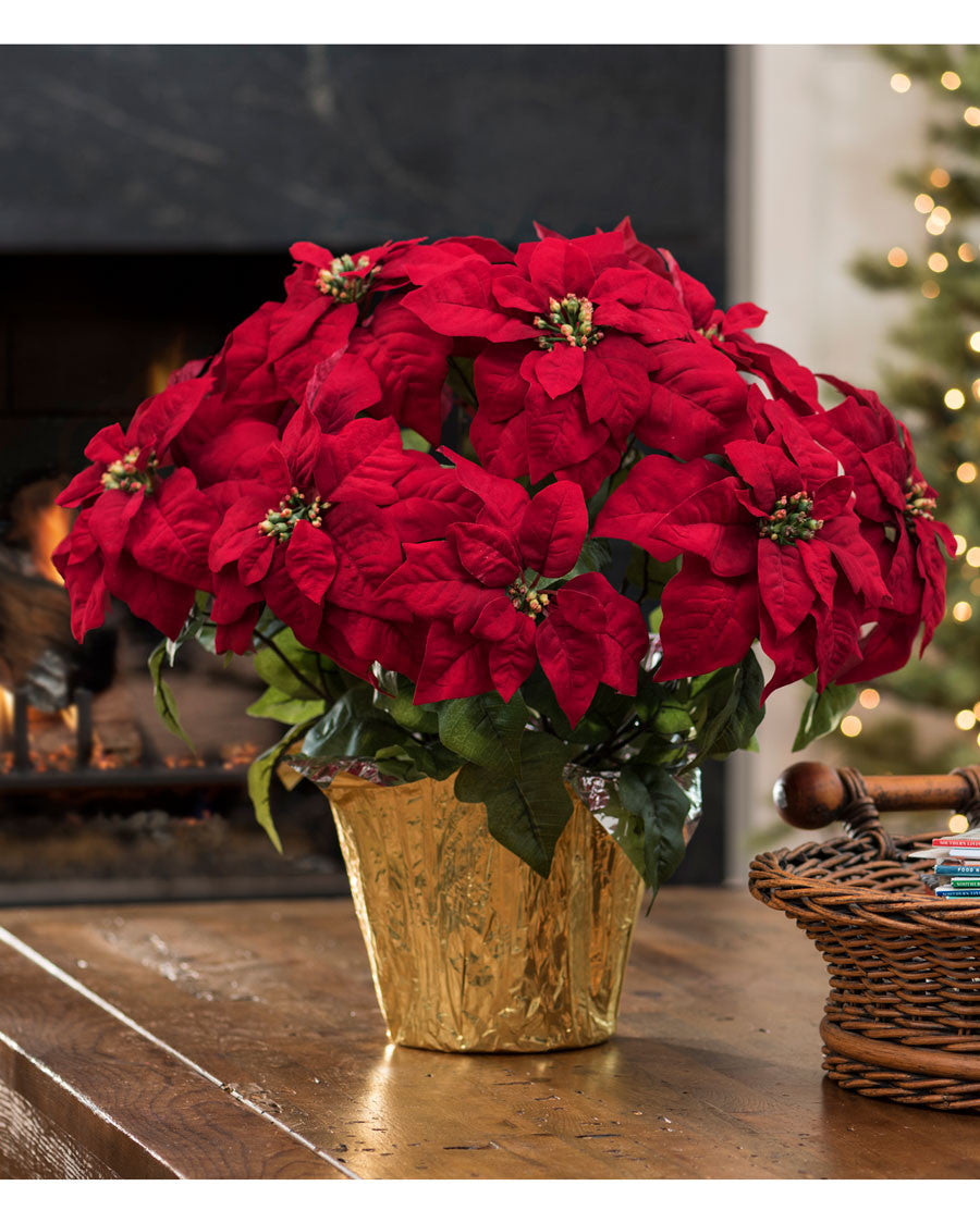 Premier Silk Poinsettia - Large HDB200