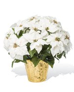 Premier Silk Poinsettia - Large HDB200
