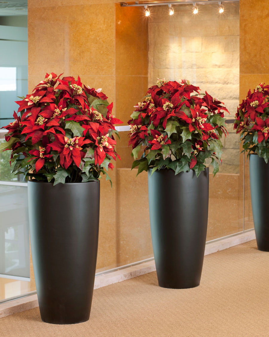 Premier Silk Poinsettia - Extra Large HDB201