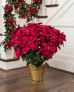 Premier Silk Poinsettia - Extra Large HDB201