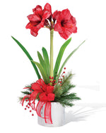 Amaryllis Silk Flower Arrangement HDB218-RD