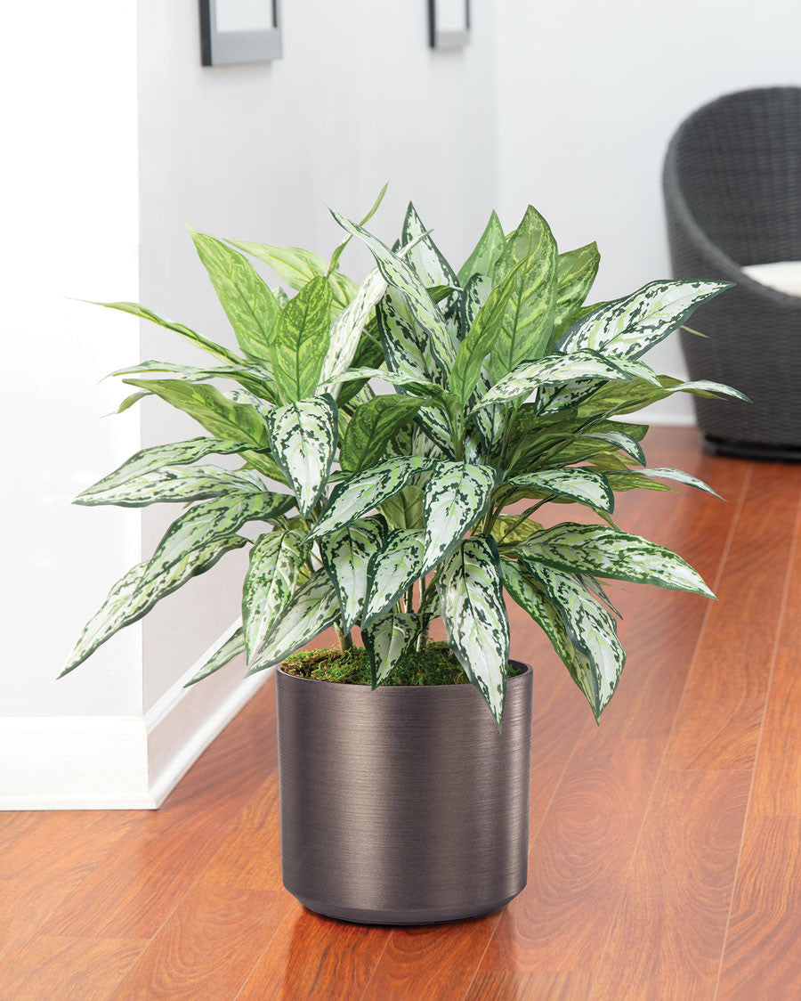 Silver Queen Silk Floor Plant PLA105-GR