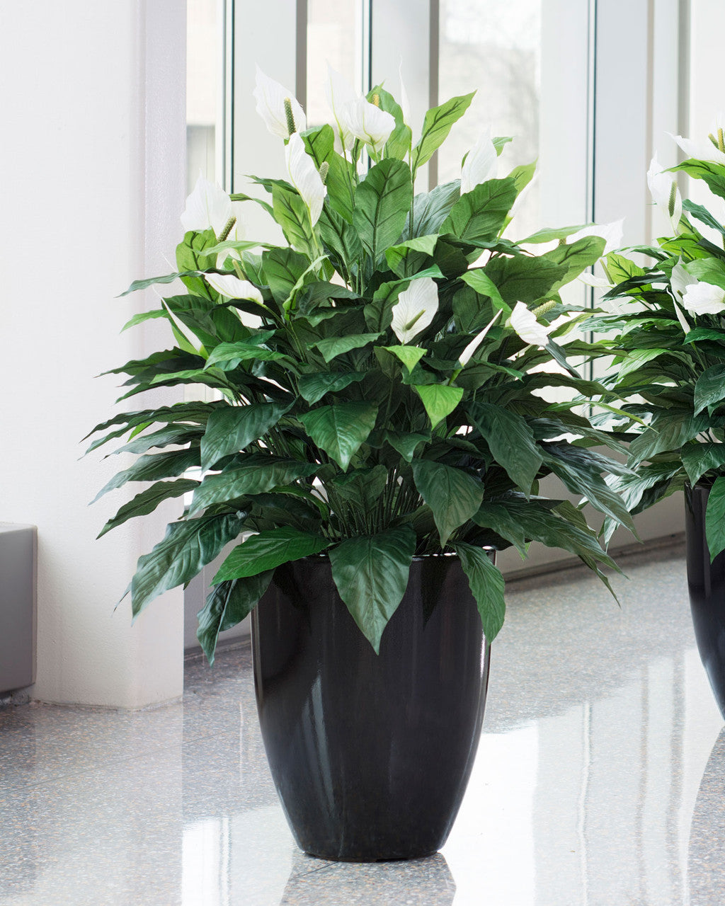Double Full Spathiphyllum Silk Plant PLA172-GR