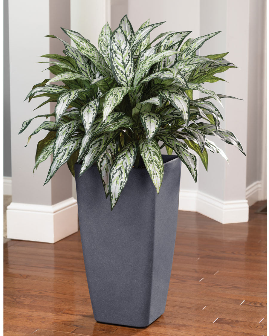 Double Full Silver Queen Silk Plant PLA174-GR