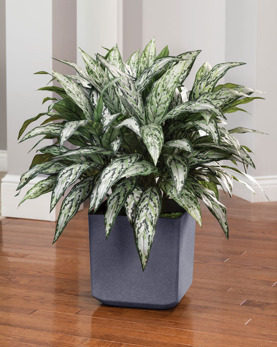 Double Full Silver Queen Silk Plant PLA174-GR