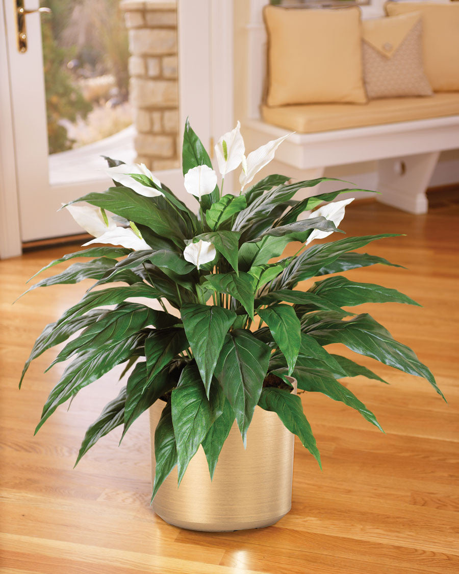 Spathiphyllum Silk Floor Plant PLA195-GR