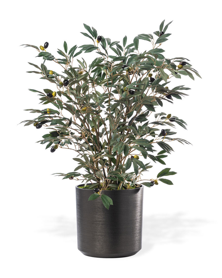 Faux Olive Tree Plant PLA309-GR