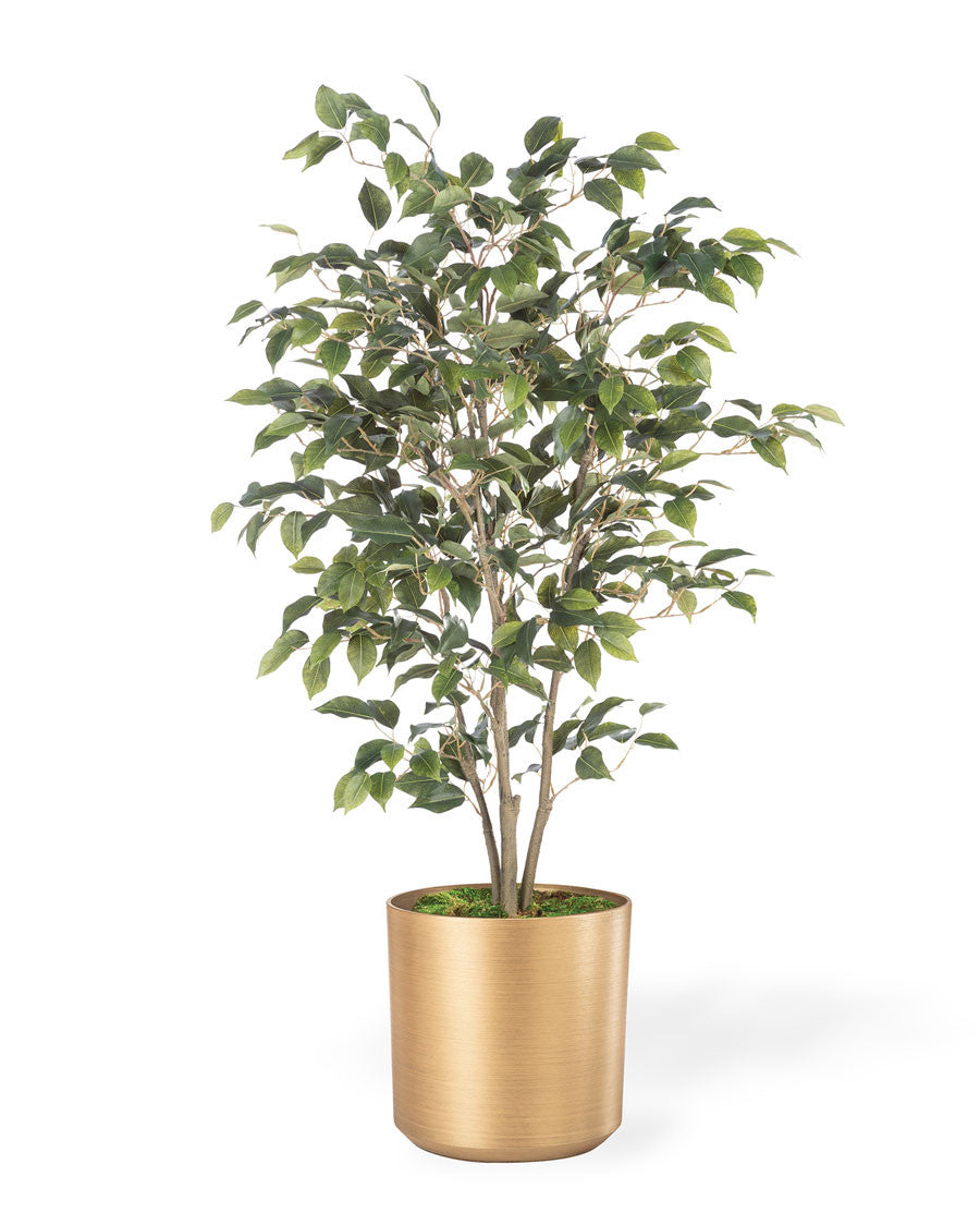 Silk Ficus Bush Plant PLA311-GR
