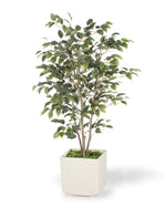 Silk Ficus Bush Plant PLA311-GR