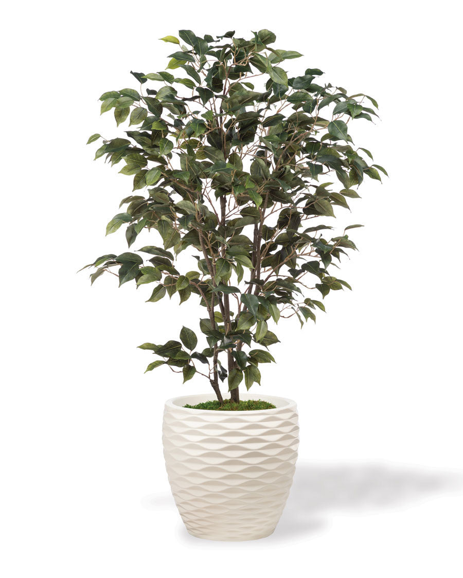 Silk Ficus Bush Plant PLA311-GR