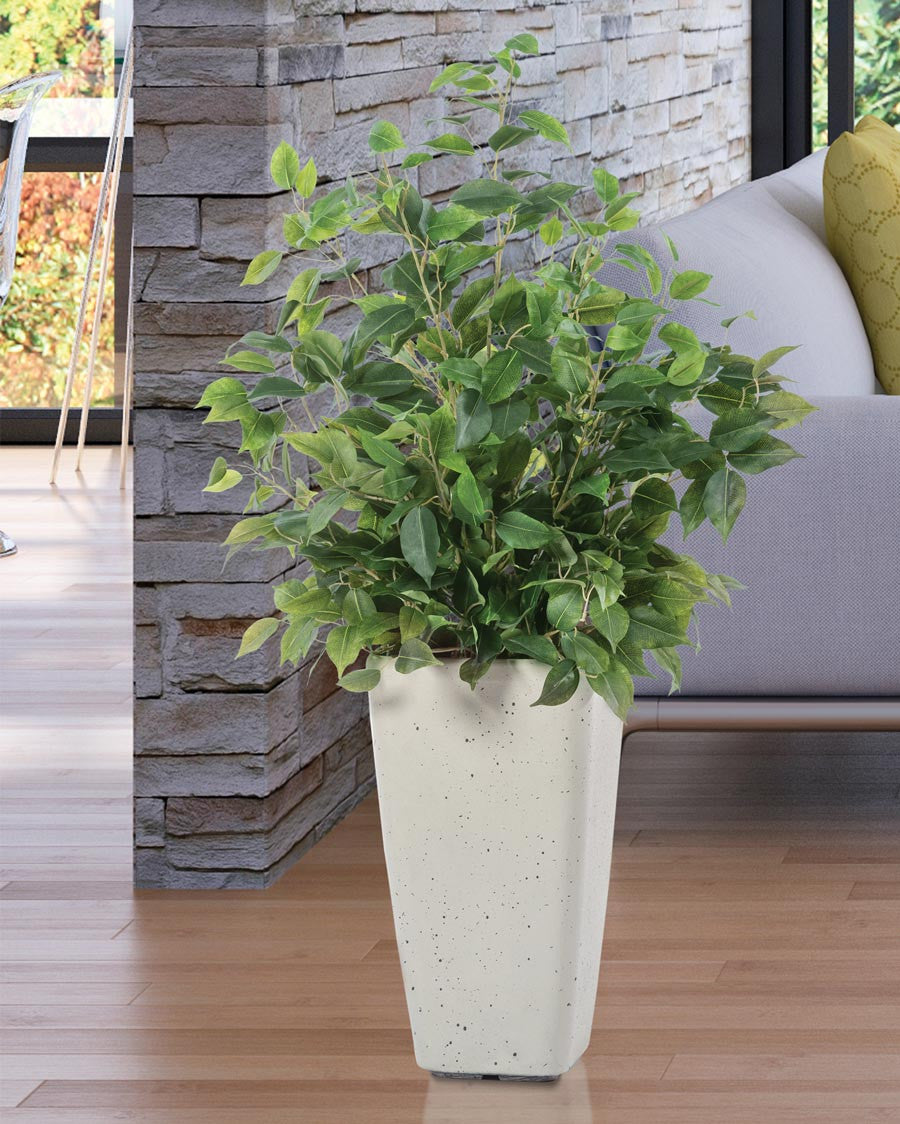 Bushy Ficus Plant PLA320-GR