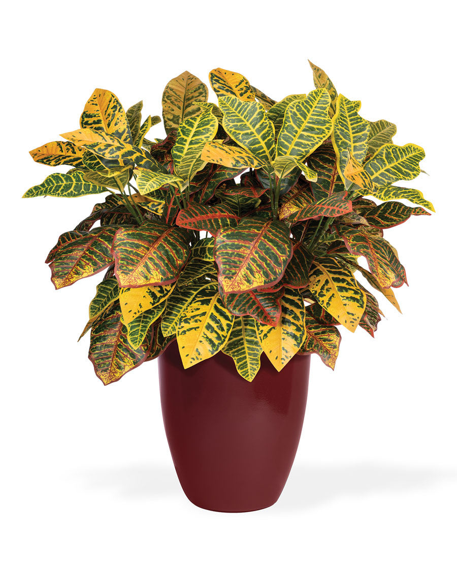 Double Croton Silk Floor Plant PLA328-NA
