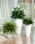 Double Full Spathiphyllum Silk Plant PLA172-GR