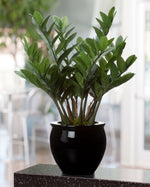 23" ZZ Silk Plant PLA380-GR