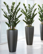 4' ZZ Silk Plant PLA381-GR