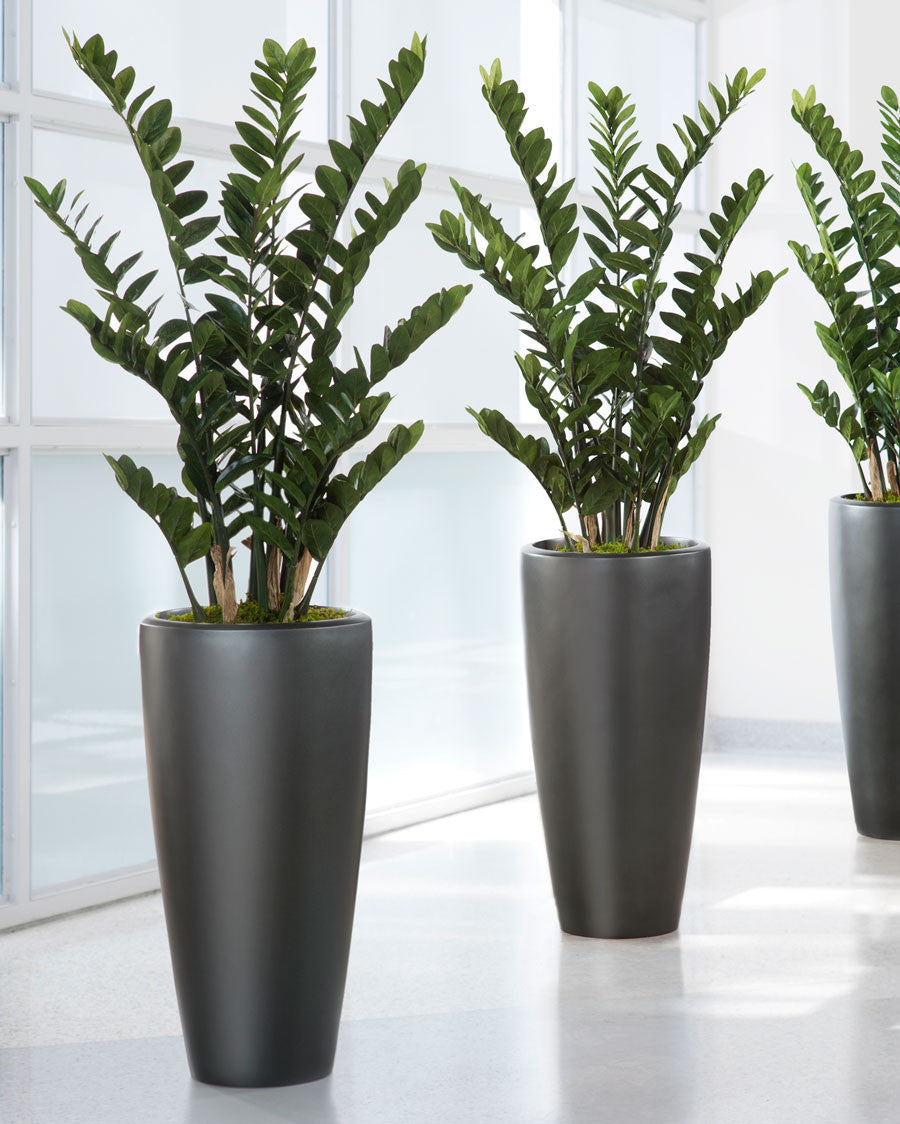 4' ZZ Silk Plant PLA381-GR