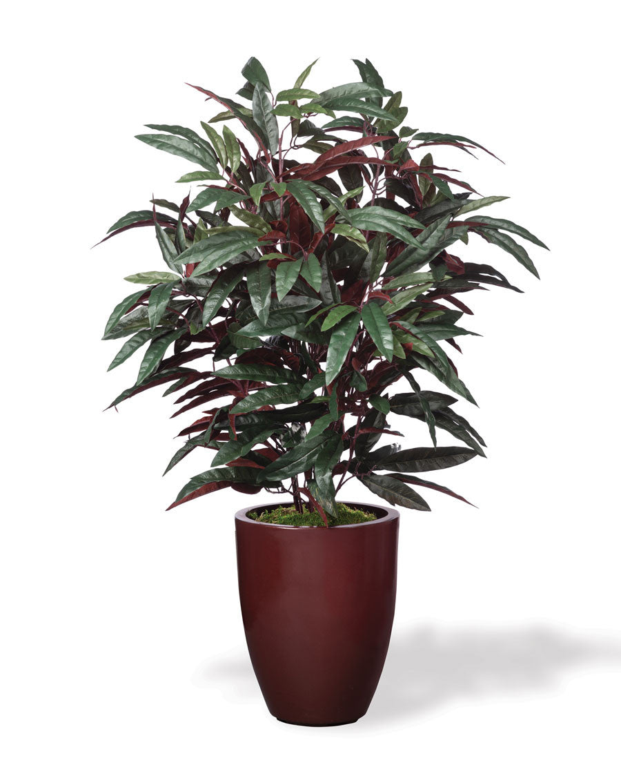 Faux Mango Plant PLA488-GB