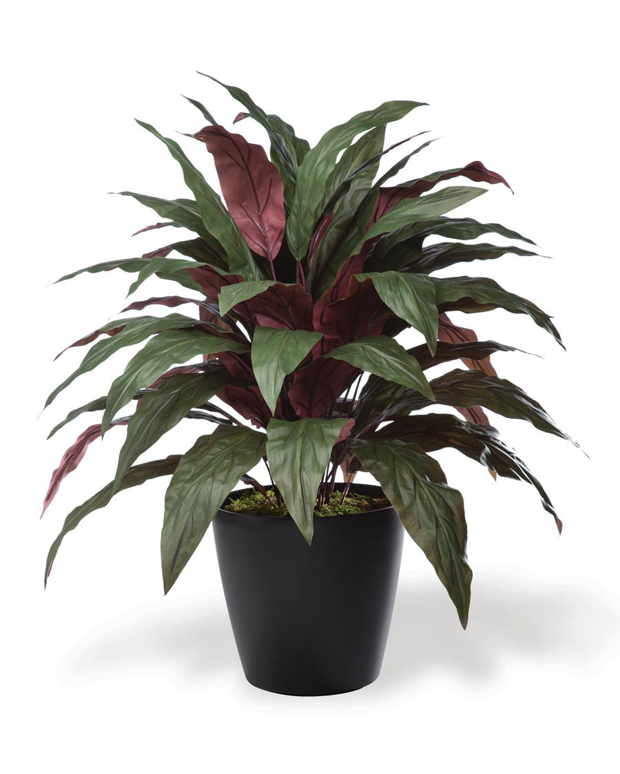 Aspidistra Faux Floor Plant PLA501-GB