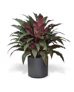 Double Aspidistra Faux Floor Plant PLA502-GB