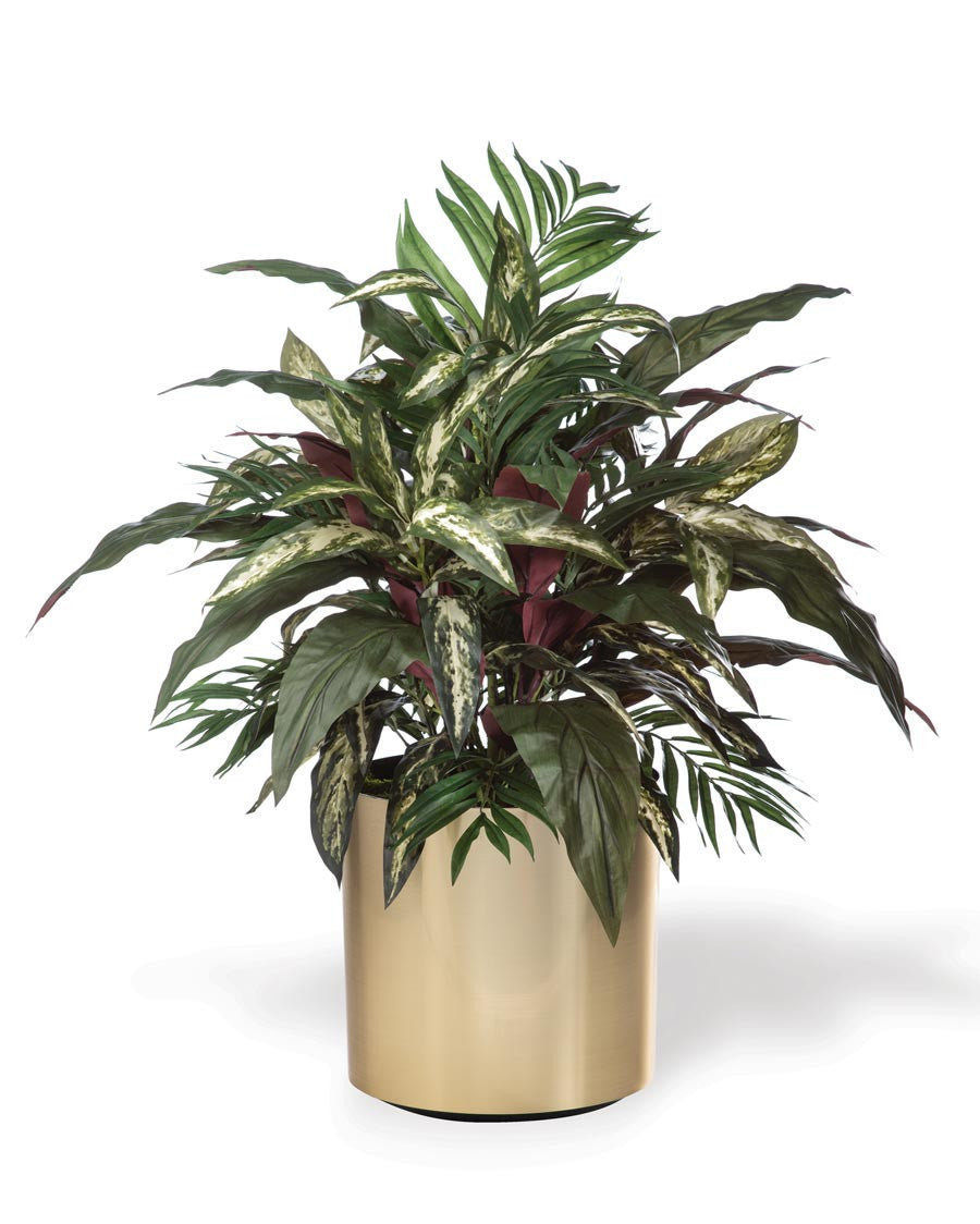 Aspidistra, Palm & Silver King Silk Foliage Planter PLA504-GB